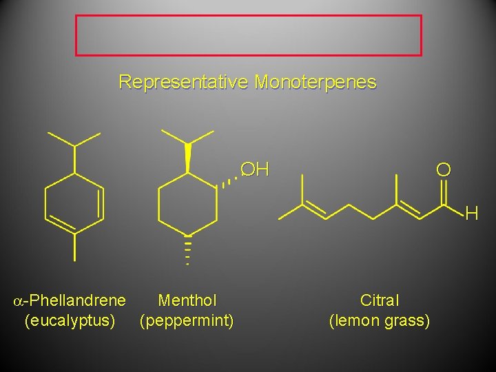 Representative Monoterpenes OH O H a-Phellandrene Menthol (eucalyptus) (peppermint) Citral (lemon grass) 