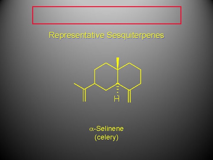 Representative Sesquiterpenes H a-Selinene (celery) 