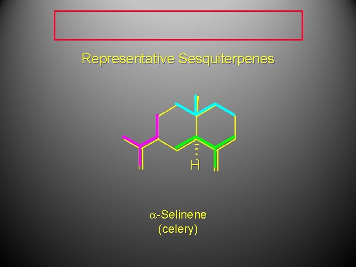 Representative Sesquiterpenes H a-Selinene (celery) 