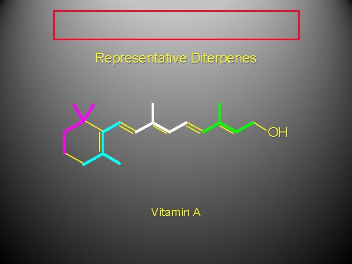 Representative Diterpenes OH Vitamin A 