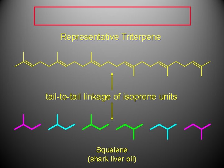 Representative Triterpene tail-to-tail linkage of isoprene units Squalene (shark liver oil) 
