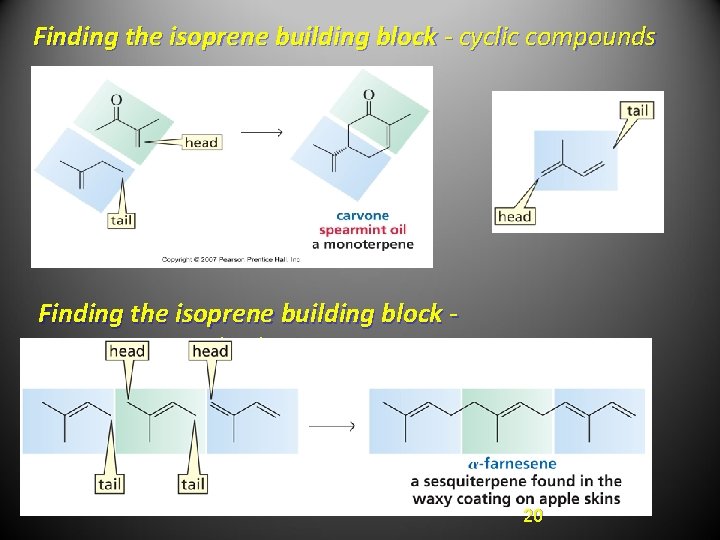 Finding the isoprene building block - cyclic compounds Finding the isoprene building block sesquiterpenes