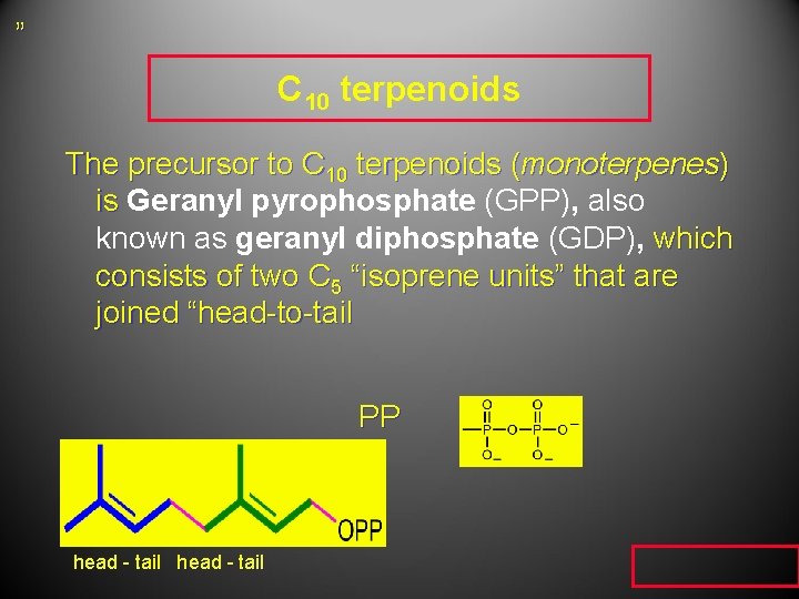 ” C 10 terpenoids The precursor to C 10 terpenoids (monoterpenes) is Geranyl pyrophosphate