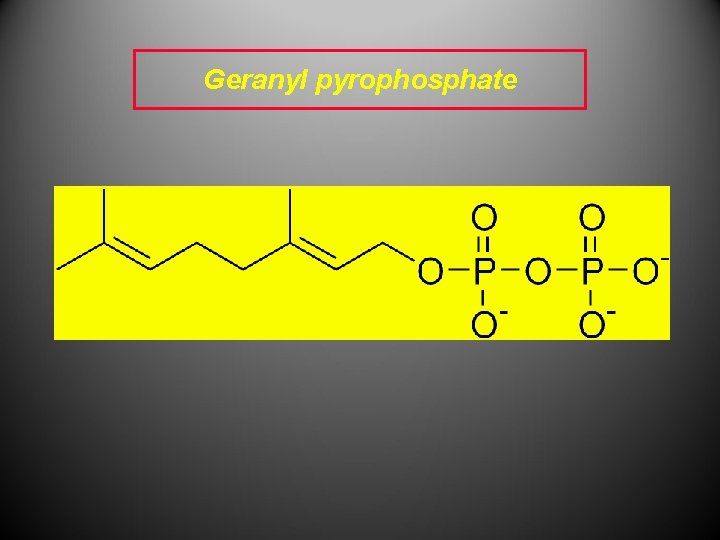 Geranyl pyrophosphate 