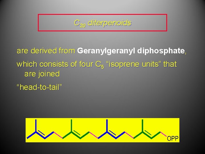 C 20 diterpenoids are derived from Geranylgeranyl diphosphate, which consists of four C 5