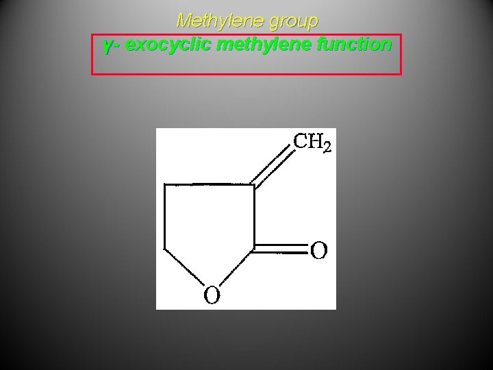 Methylene group γ- exocyclic methylene function 