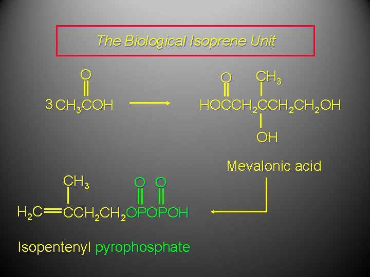 The Biological Isoprene Unit O O 3 CH 3 COH CH 3 HOCCH 2