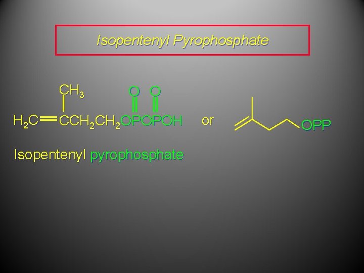 Isopentenyl Pyrophosphate CH 3 H 2 C O O CCH 2 OPOPOH Isopentenyl pyrophosphate