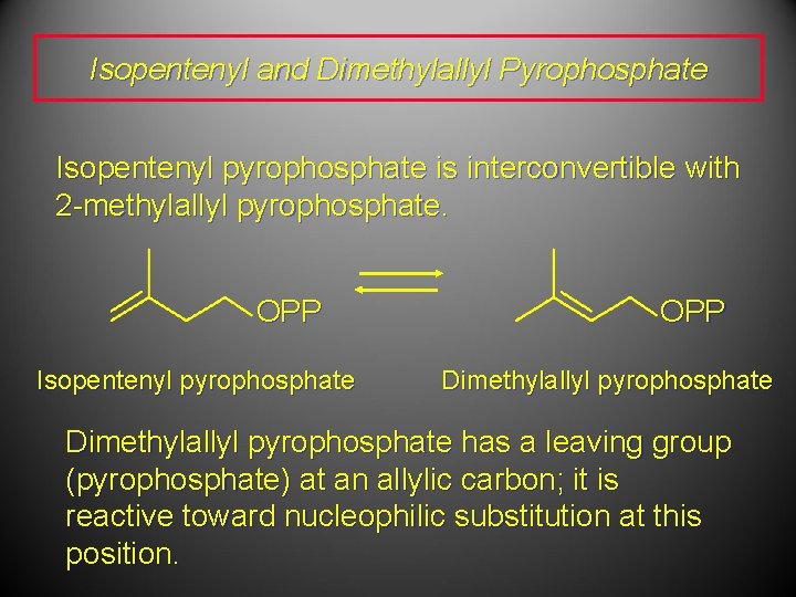 Isopentenyl and Dimethylallyl Pyrophosphate Isopentenyl pyrophosphate is interconvertible with 2 -methylallyl pyrophosphate. OPP Isopentenyl