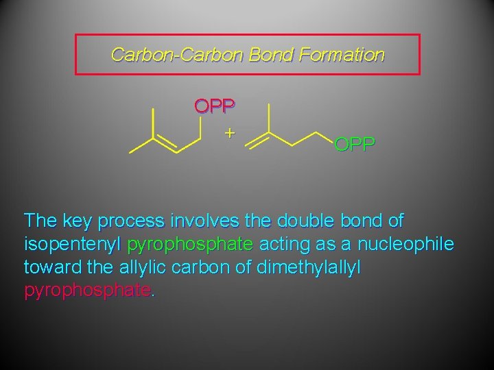 Carbon-Carbon Bond Formation OPP + OPP The key process involves the double bond of