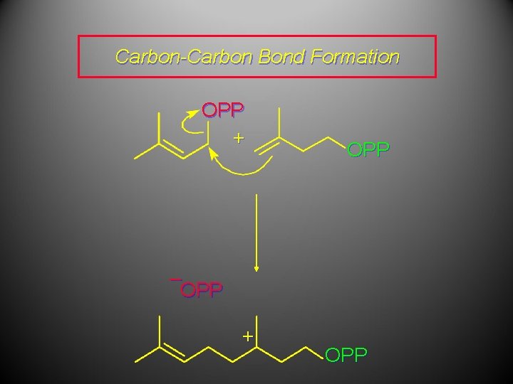 Carbon-Carbon Bond Formation OPP + OPP – OPP + OPP 