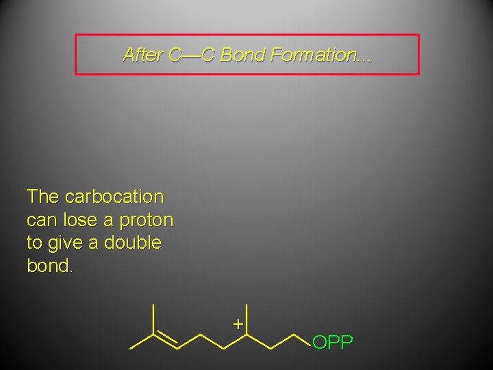 After C—C Bond Formation. . . The carbocation can lose a proton to give