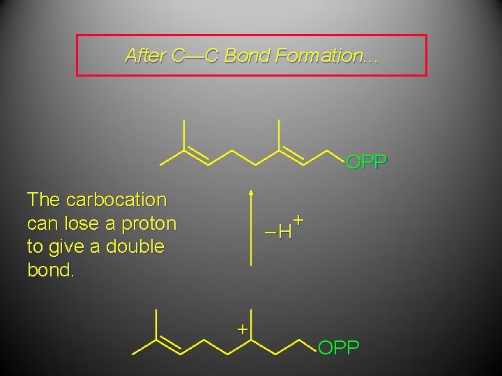 After C—C Bond Formation. . . OPP The carbocation can lose a proton to