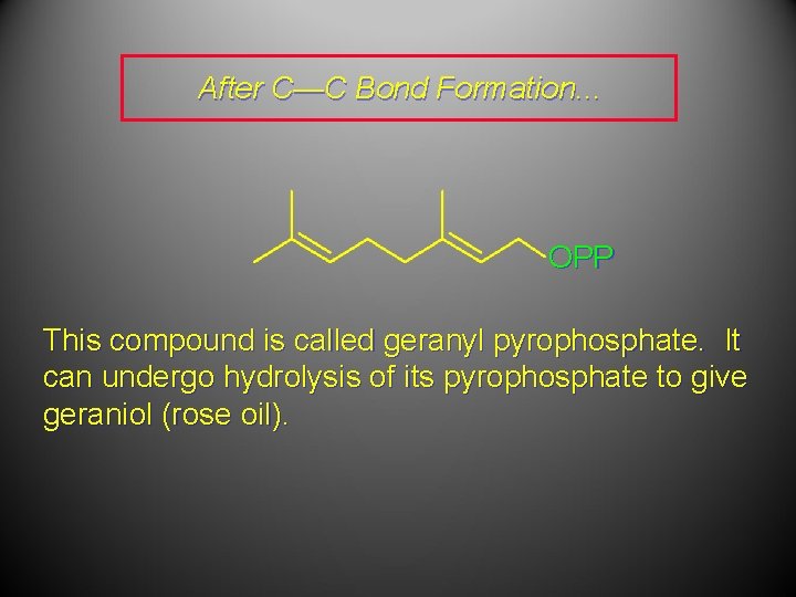 After C—C Bond Formation. . . OPP This compound is called geranyl pyrophosphate. It