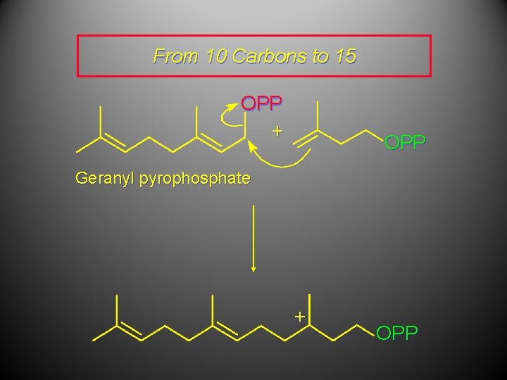 From 10 Carbons to 15 OPP + OPP Geranyl pyrophosphate + OPP 