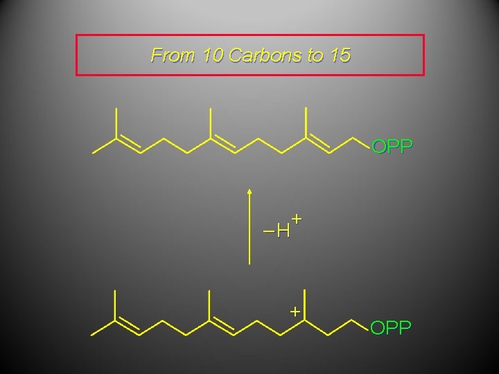 From 10 Carbons to 15 OPP + –H + OPP 