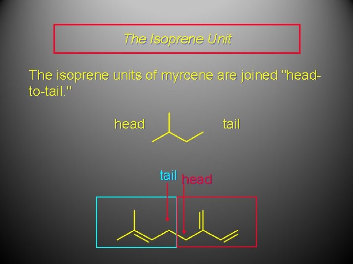 The Isoprene Unit The isoprene units of myrcene are joined "headto-tail. " head tail