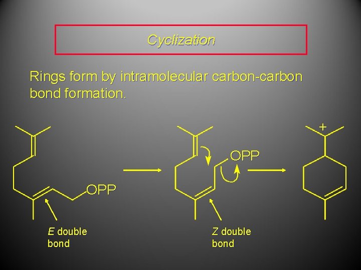 Cyclization Rings form by intramolecular carbon-carbon bond formation. + OPP E double bond Z
