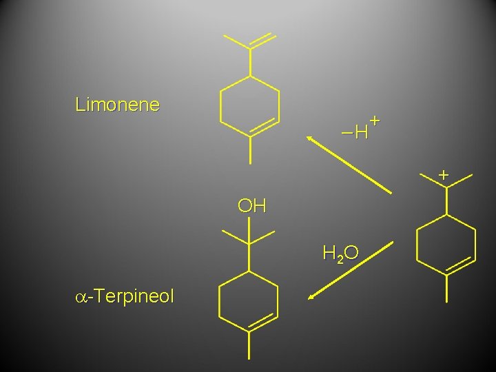 Limonene + –H + OH H 2 O a-Terpineol 