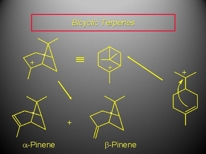 Bicyclic Terpenes + + + a-Pinene + 