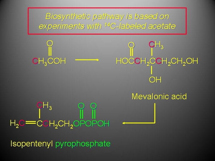 Biosynthetic pathway is based on experiments with 14 C-labeled acetate O O CH 3
