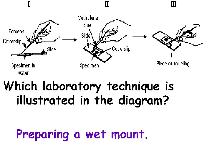 Which laboratory technique is illustrated in the diagram? Preparing a wet mount. 