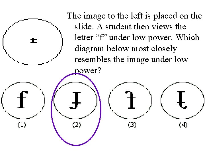 The image to the left is placed on the slide. A student then views
