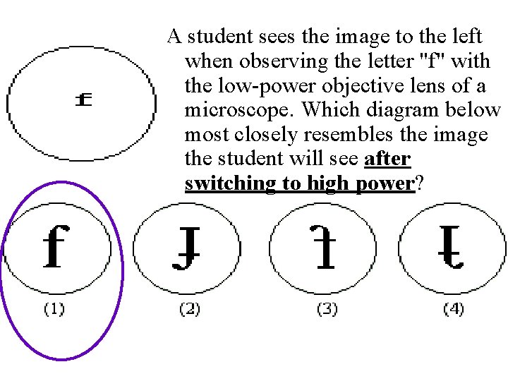 A student sees the image to the left when observing the letter "f" with