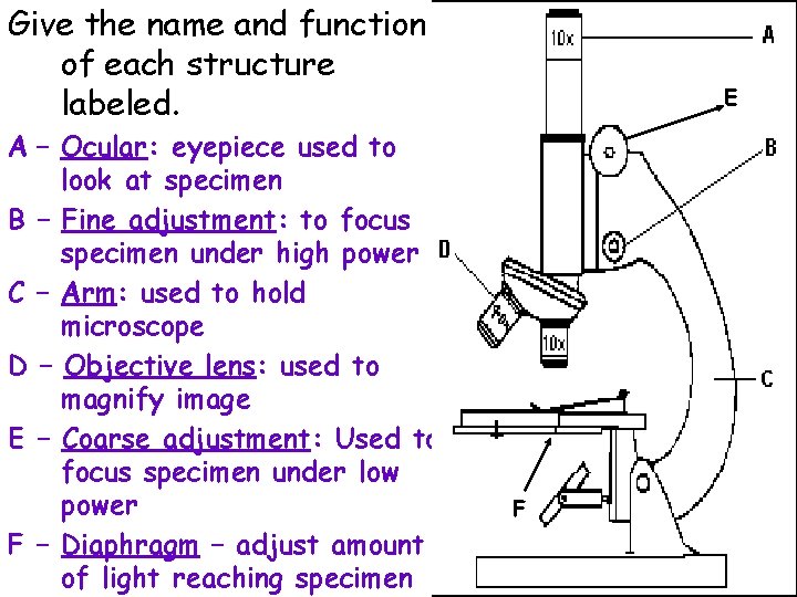 Give the name and function of each structure labeled. A – Ocular: eyepiece used