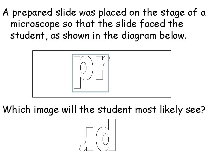 A prepared slide was placed on the stage of a microscope so that the