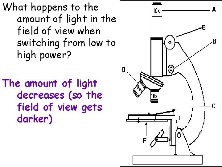 What happens to the amount of light in the field of view when switching