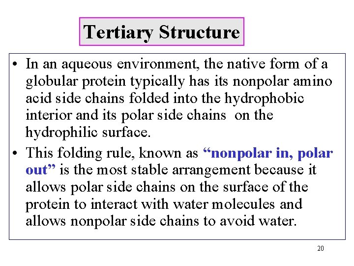 Tertiary Structure • In an aqueous environment, the native form of a globular protein