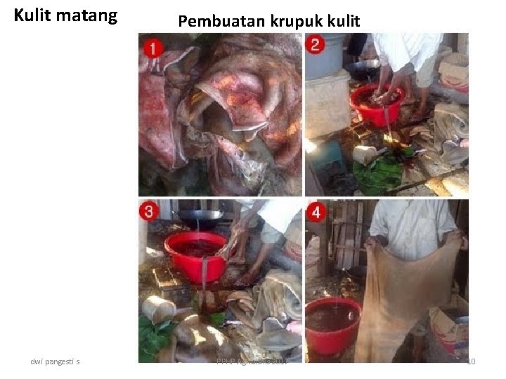 Kulit matang dwi pangesti s Pembuatan krupuk kulit PPHP Agribisnis 2017 10 