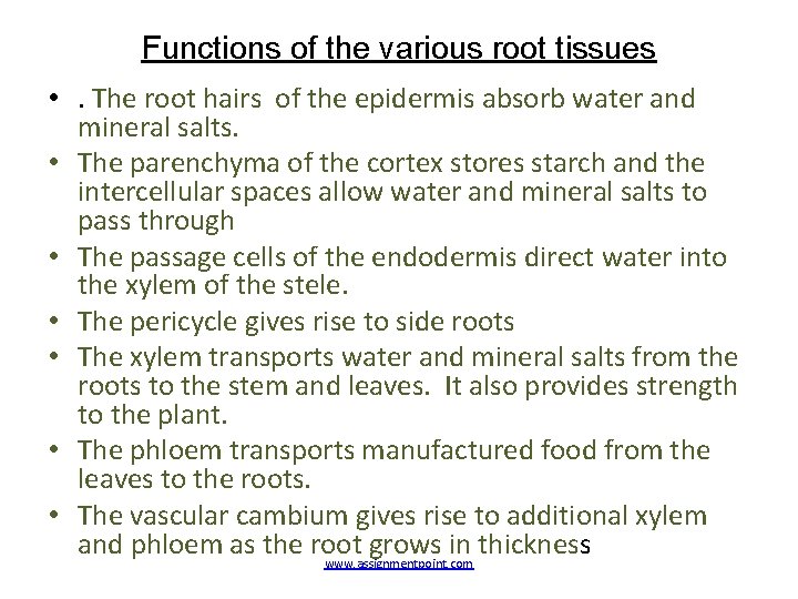 Functions of the various root tissues • . The root hairs of the epidermis