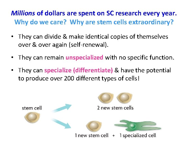 Millions of dollars are spent on SC research every year. Why do we care? Millions of dollars are spent on SC research every year. Why do we care?
