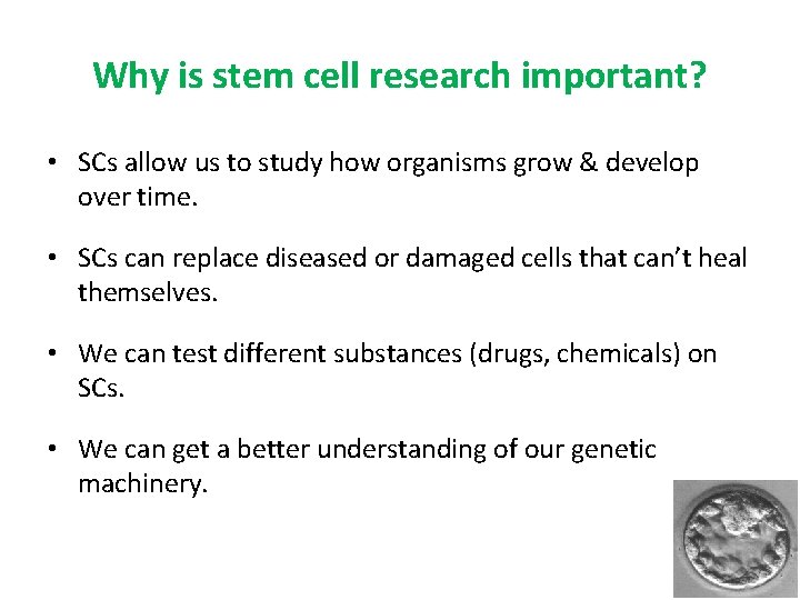 Why is stem cell research important? • SCs allow us to study how organisms Why is stem cell research important? • SCs allow us to study how organisms
