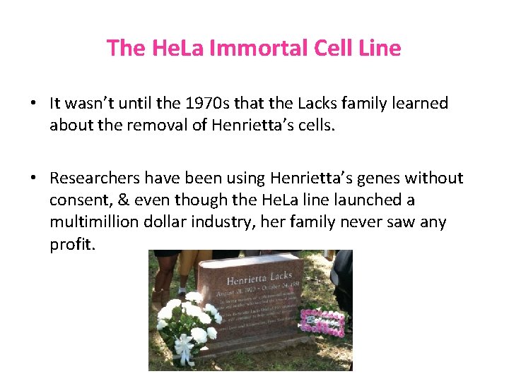 The He. La Immortal Cell Line • It wasn’t until the 1970 s that The He. La Immortal Cell Line • It wasn’t until the 1970 s that