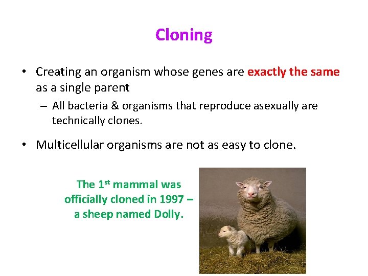 Cloning • Creating an organism whose genes are exactly the same as a single Cloning • Creating an organism whose genes are exactly the same as a single