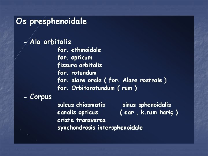 Os presphenoidale - Ala orbitalis - Corpus for. ethmoidale for. opticum fissura orbitalis for.