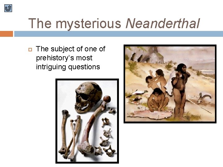 The mysterious Neanderthal The subject of one of prehistory’s most intriguing questions 