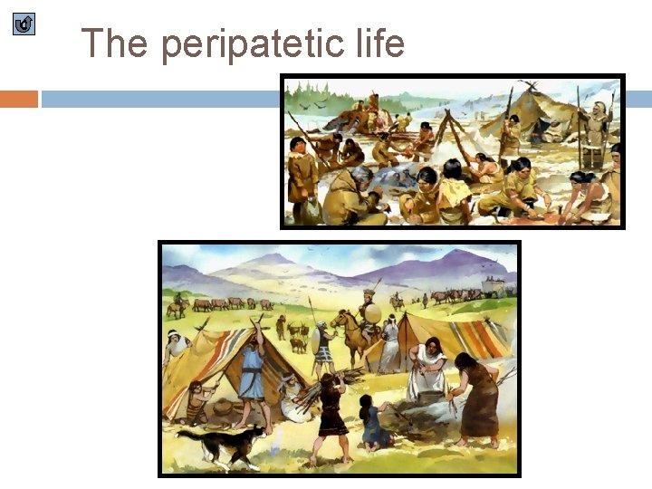 c The peripatetic life 
