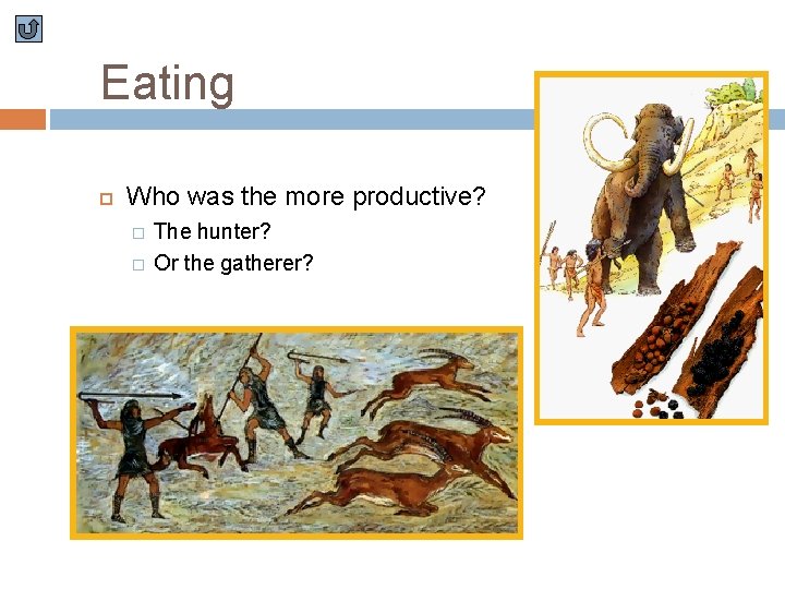 Eating Who was the more productive? � � The hunter? Or the gatherer? 
