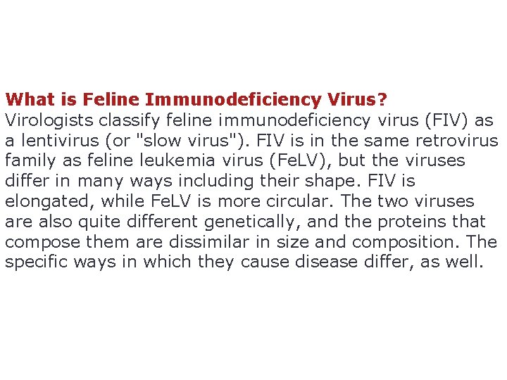 What is Feline Immunodeficiency Virus? Virologists classify feline immunodeficiency virus (FIV) as a lentivirus