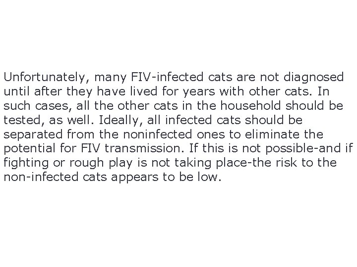 Unfortunately, many FIV-infected cats are not diagnosed until after they have lived for years