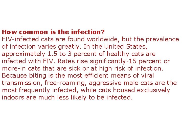 How common is the infection? FIV-infected cats are found worldwide, but the prevalence of