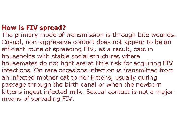 How is FIV spread? The primary mode of transmission is through bite wounds. Casual,