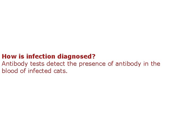 How is infection diagnosed? Antibody tests detect the presence of antibody in the blood