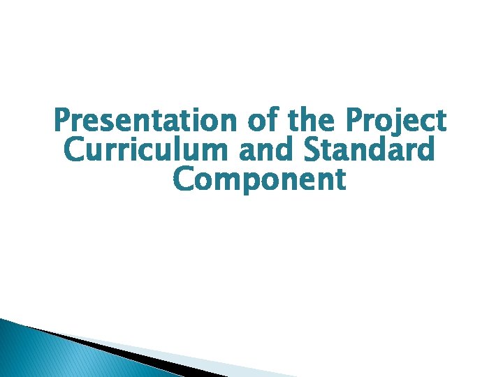 Presentation of the Project Curriculum and Standard Component 
