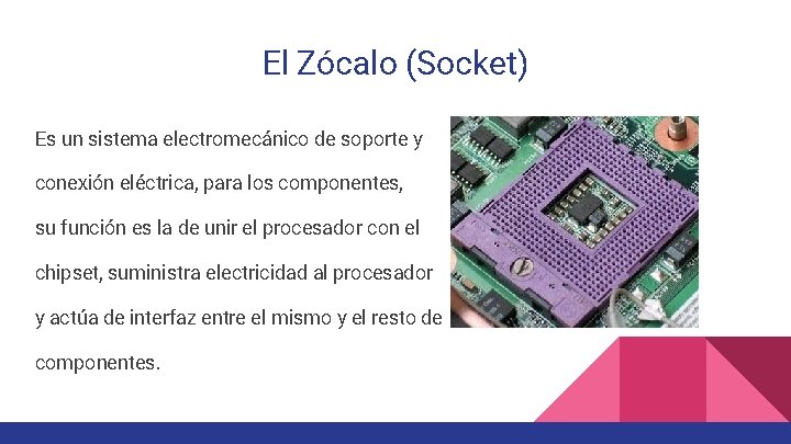 El Zócalo (Socket) Es un sistema electromecánico de soporte y conexión eléctrica, para los
