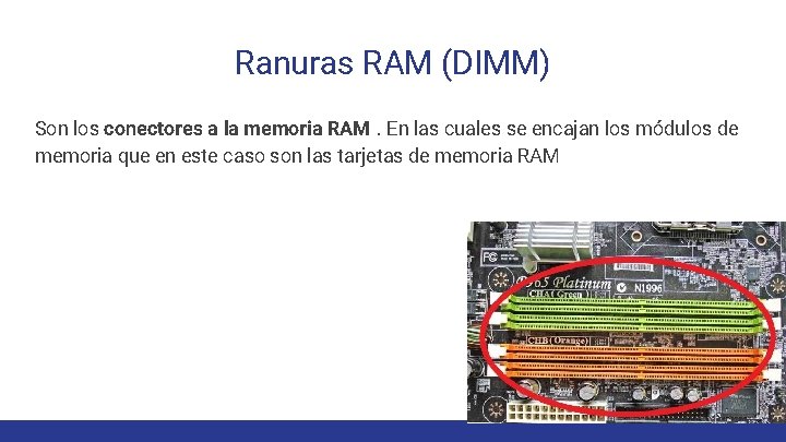 Ranuras RAM (DIMM) Son los conectores a la memoria RAM. En las cuales se